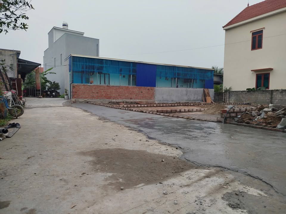 Đất nền Thủy Nguyên 59m² chỉ 1 tỷ - Đầu tư sinh lời ngay!