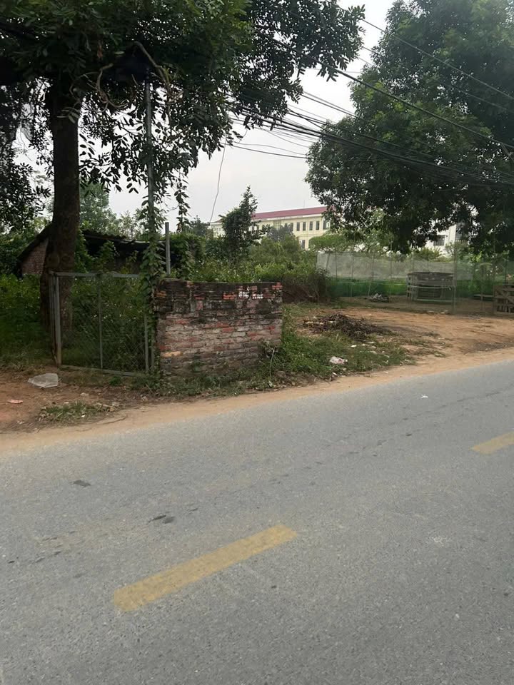 Đất nền Quảng Minh, Việt Yên 186m² giá 3 tỷ - Vị trí đẹp, sổ hồng chính chủ!