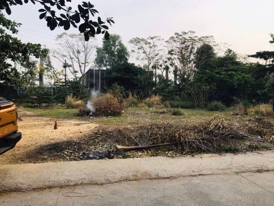 Đất thổ cư 1490m² phường Tân Chánh Hiệp Q12 - Giá 45 tỷ, vị trí đắc địa!