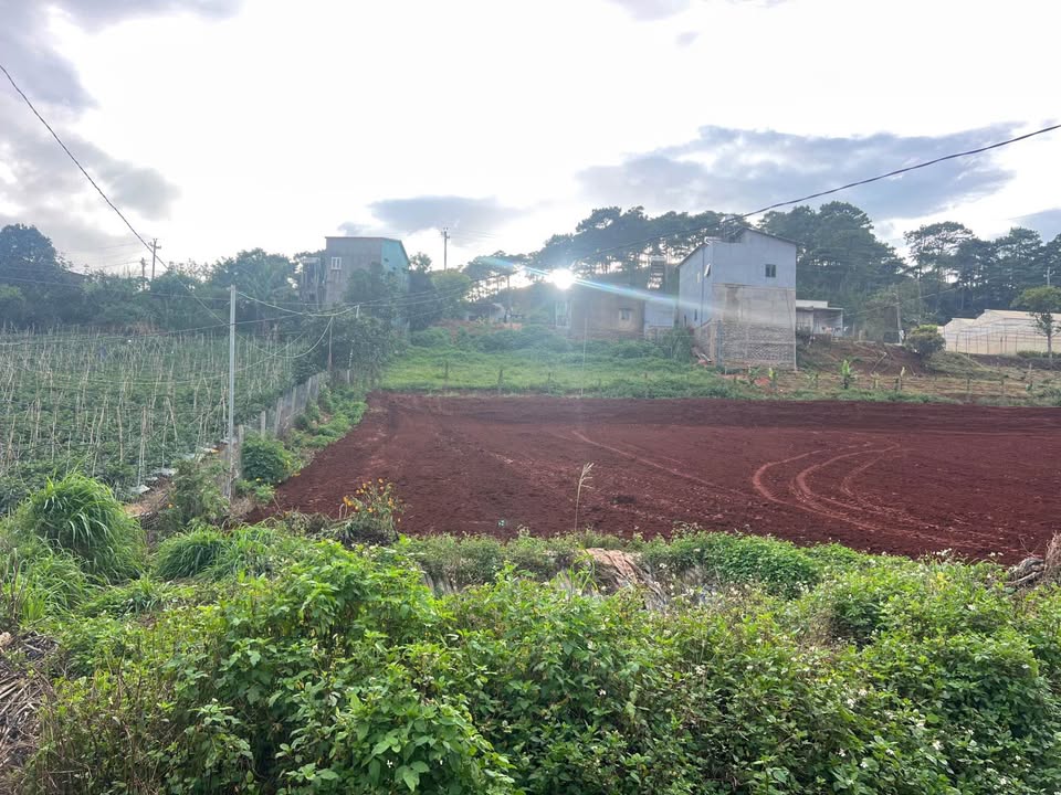 Đất nền Quảng Lập, Đơn Dương 200m² chỉ 300 triệu - Cơ hội đầu tư tuyệt vời!