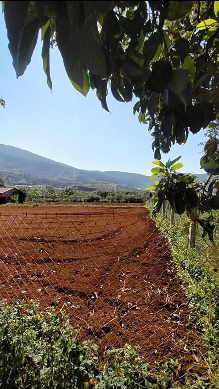 Đất nền Nam Ban Lâm Hà 1000m² giá 1.7 tỷ - Cơ hội đầu tư hấp dẫn!