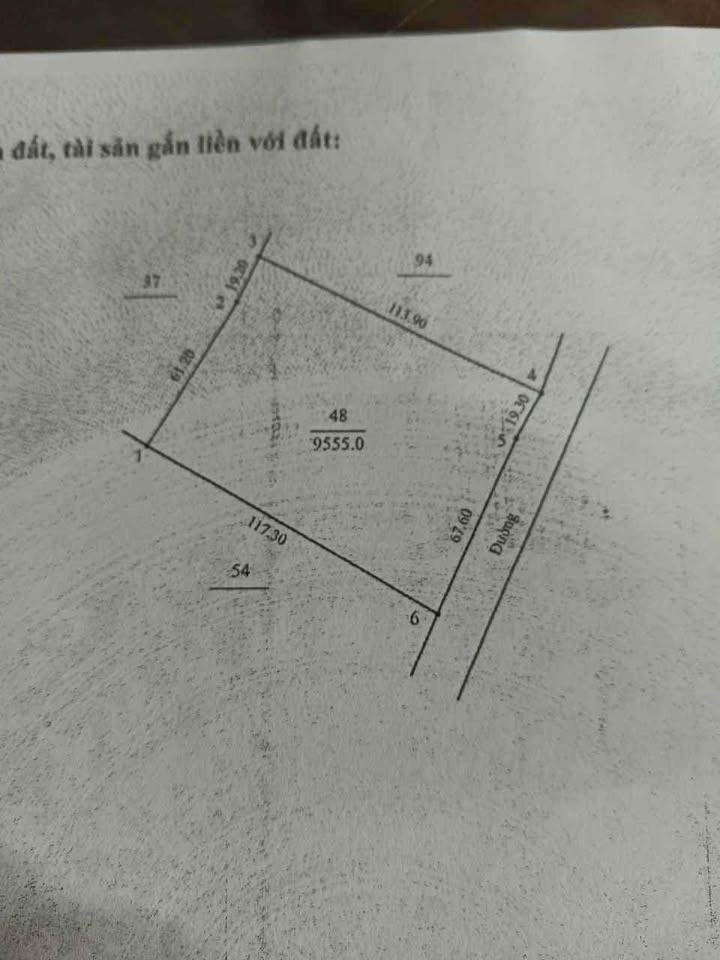 Đất nền cà phê Lê Lai, Đức Cơ, Gia Lai 9.550m² giá 850 triệu - Đầu tư sinh lời bền vững!