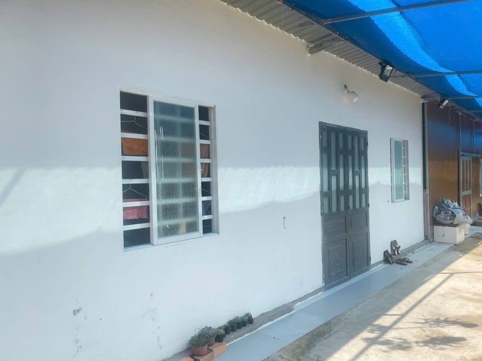 Nhà cấp 4 và 13 phòng trọ trung tâm Phú Mỹ 1335m² giá 13 tỷ - Đầu tư sinh lời hấp dẫn!