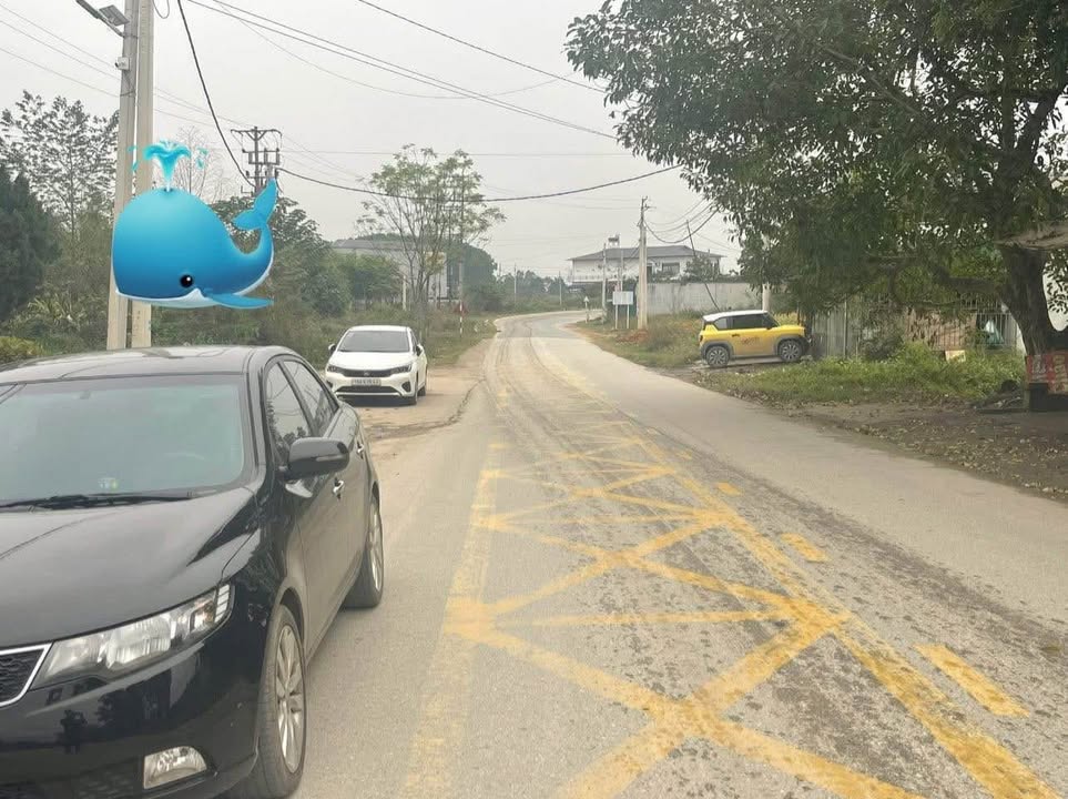 Đất nền KCN Phú Hà 125m² giá 2 tỷ - Cơ hội đầu tư hấp dẫn!