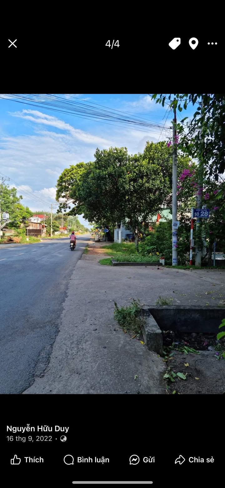 Đất 330m² mặt tiền đường nhựa Bến Cát, Bình Dương giá 2 tỷ - Đầu tư sinh lời ngay!