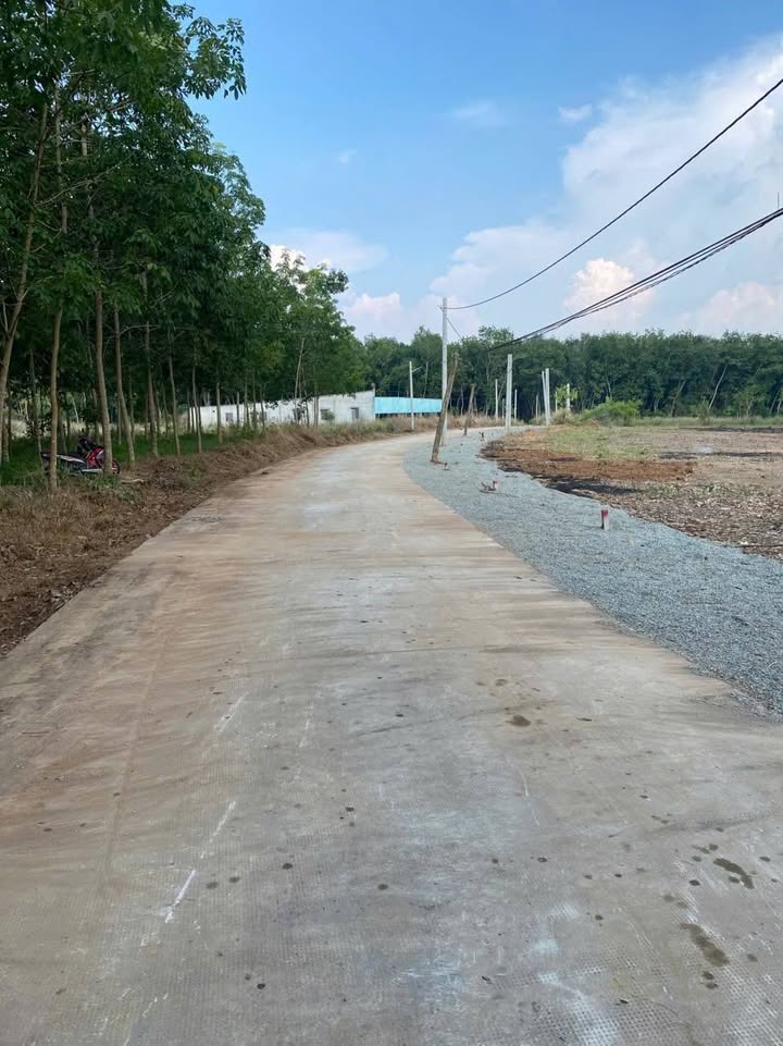 Đất liền kề Tân Khai, Hớn Quản 250m² giá 370 triệu - Đầu tư sinh lời ngay!