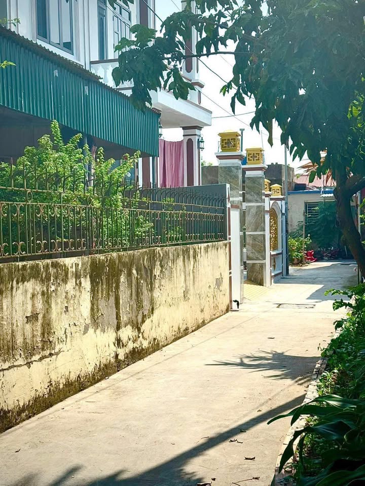 Đất nền trung tâm P. Lam Sơn Hưng Yên 98m² giá chỉ 1 tỷ - Cơ hội vàng cho nhà đầu tư!