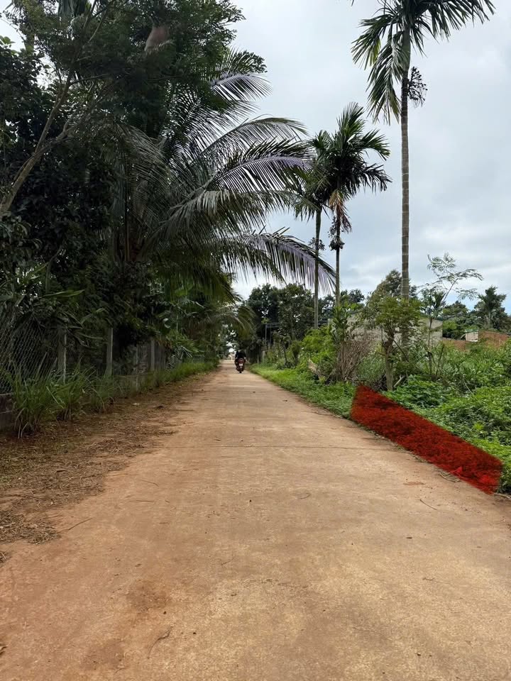 Đất nền Cư Kuin 60m² giá 550 triệu - Vị trí đắc địa gần Quốc Lộ 27!