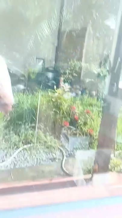 Đất vườn Nhị Thành Thủ Thừa 1400m² giá 4.34 tỷ - Cơ hội đầu tư hấp dẫn!