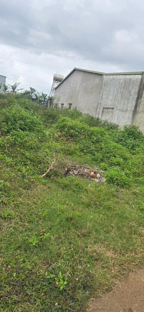 Đất Phú Hội, Đức Trọng, 150m² giá 1.17 tỷ - Cơ hội đầu tư tuyệt vời!