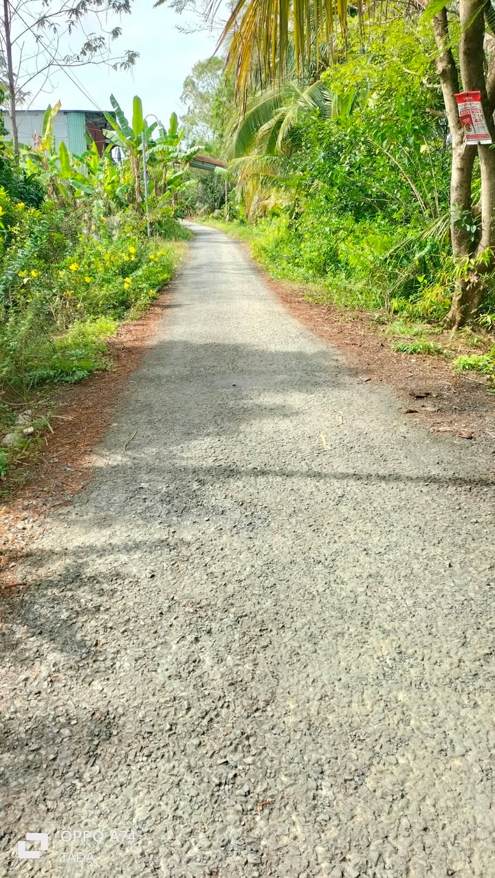 Đất nền Long Mỹ, Mang Thít 1144m² giá chỉ 2 tỷ - Đầu tư sinh lời ngay!