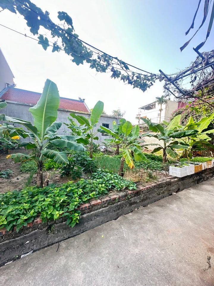 Đất Nền Phường Ninh Xá, Thuận Thành 48.6m² giá 1.4 tỷ - Cơ hội đầu tư tốt!