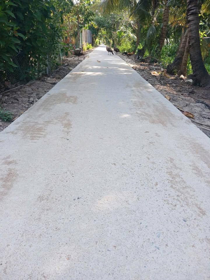 Đất nền Kênh Xáng Hòa Lợi 150m² giá 300 triệu - Đầu tư sinh lời ngay!