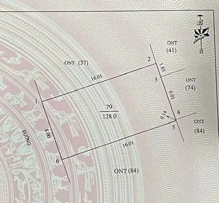 Đất dự án Đại Thành 128m² đường Hồng Liễu - Cơ hội đầu tư tuyệt vời!