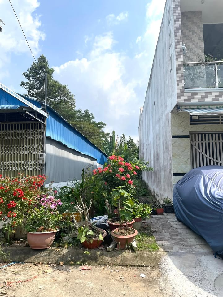 Đất nền đường số 5, phường Mỹ Phước, 105m² giá 2.5 tỷ - Gần trung tâm tiện ích!