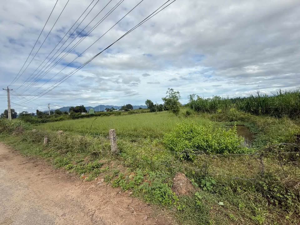 Đất mặt tiền đường nhựa 1500m² giá 1.25 tỷ - Cơ hội đầu tư hấp dẫn!