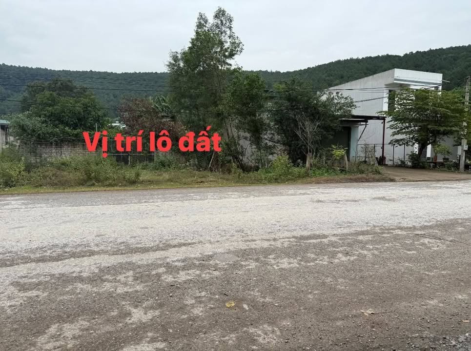 Đất liền kề KCN Hà Đông - Hà Phong 120m² giá 1 tỷ - Đầu tư sinh lời ngay!