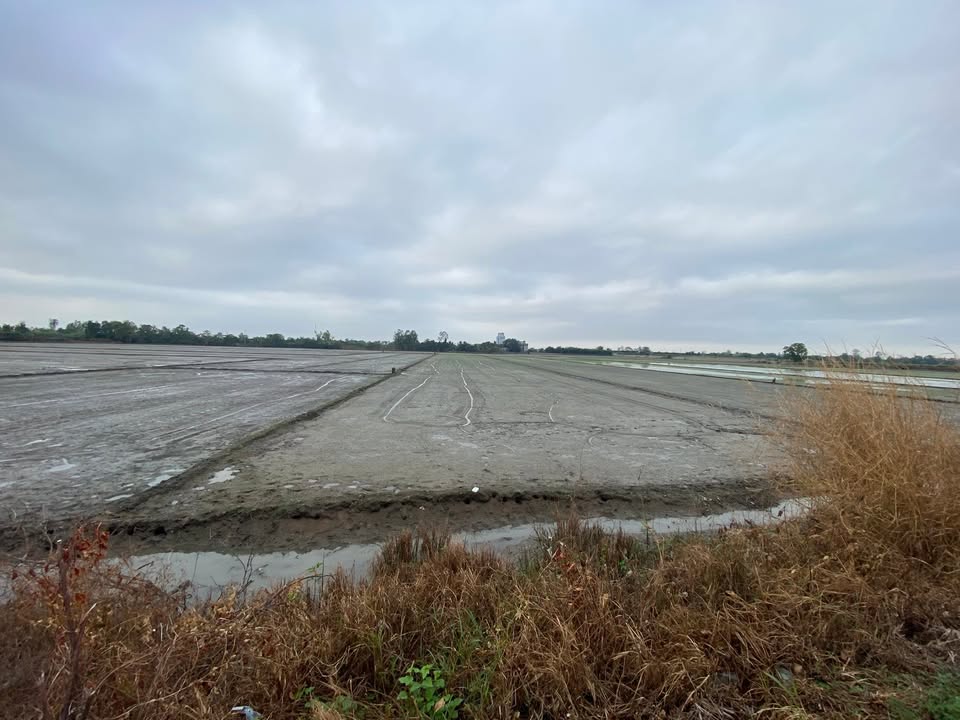 Đất nền 3,2 công tại Long Xuyên, An Giang - Mặt tiền 28m, giá thỏa thuận!