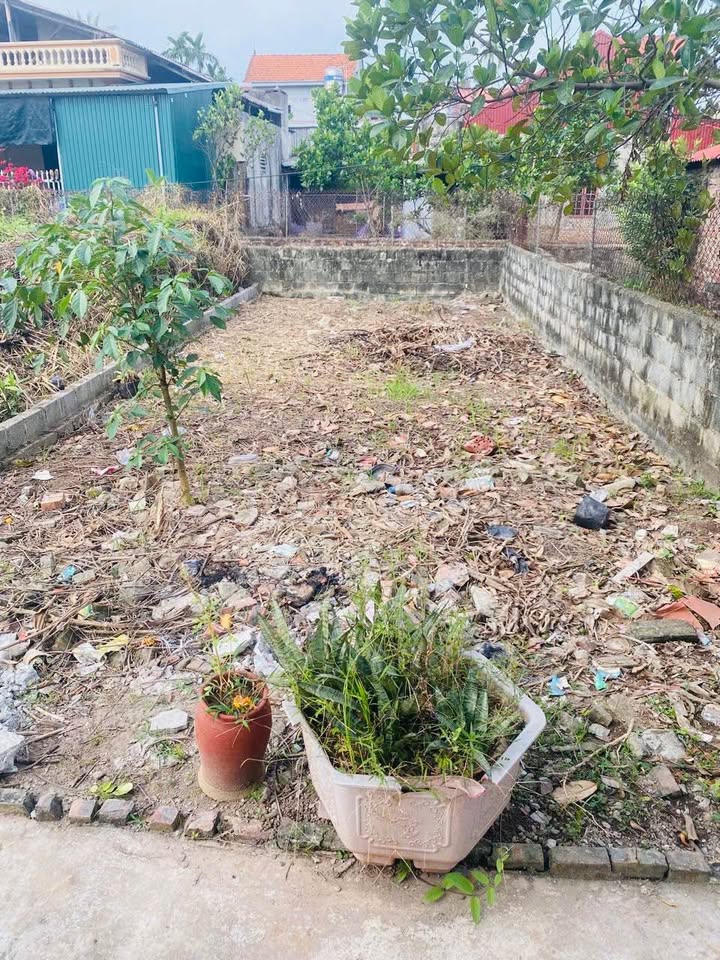 Đất nền Liên Nghĩa, Văn Giang 54.6m² giá chỉ 2.2 tỷ - Đầu tư sinh lời ngay!