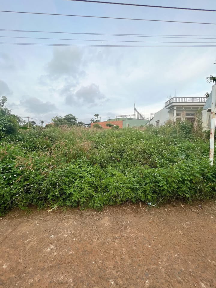 Đất nền Pơng Drang 450m² giá 1.95 tỷ - Bán gấp, đầu tư sinh lời!