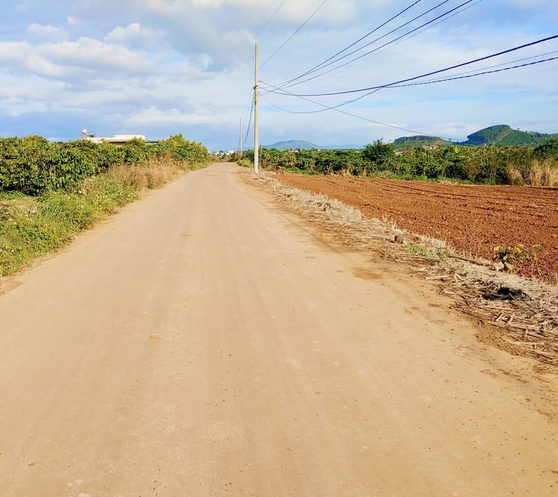 Đất nền Tân Hội, Đức Trọng 160m² giá chỉ 580 triệu - Cơ hội đầu tư hấp dẫn!