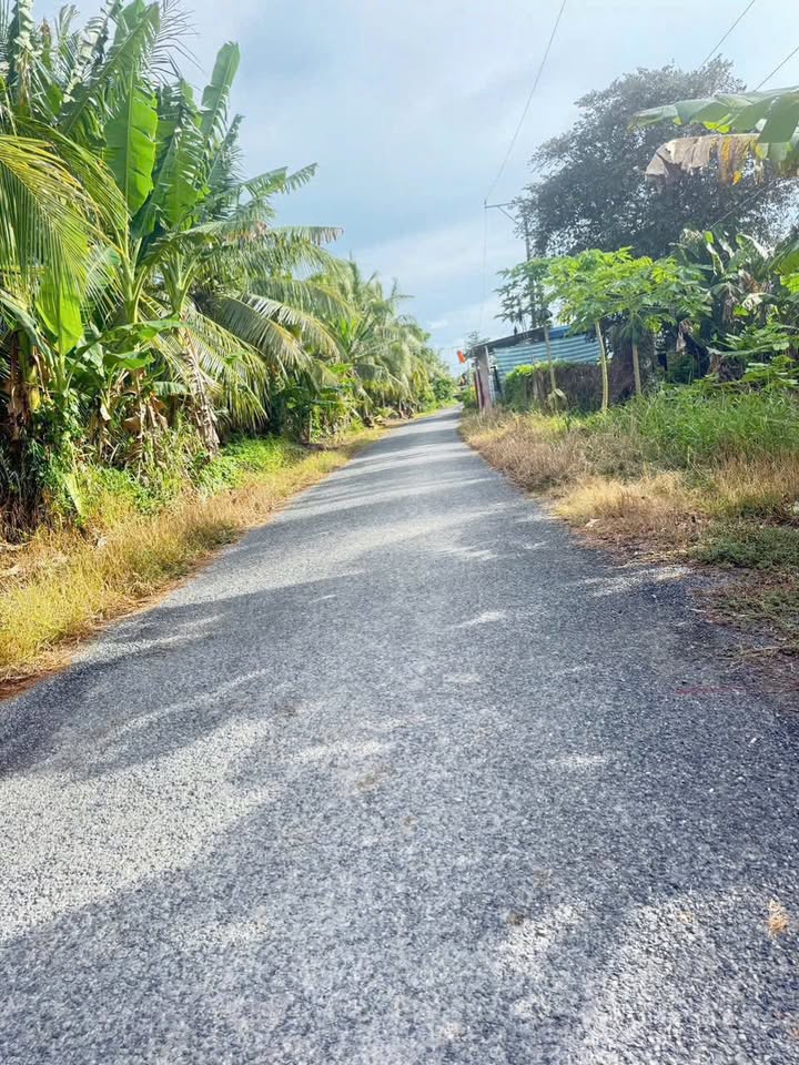 Đất thổ cư 1 công 650m² Phú Quới Vĩnh Long giá chỉ 2.18 tỷ - Đầu tư sinh lời ngay!