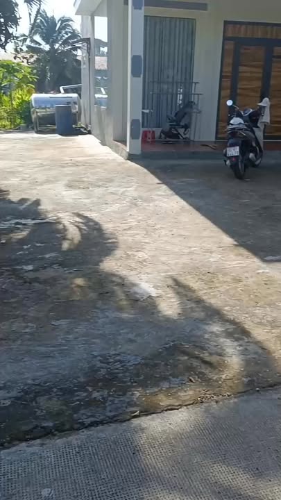 Bán gấp nhà vườn Nhị Thành, Thủ Thừa 1400m² giá chỉ 4.2 tỷ - Tiềm năng đầu tư lớn!