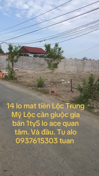 Đất thổ cư tại Cần Giuộc 146.5m² giá 1.5 tỷ - Đầu tư sinh lời ngay!