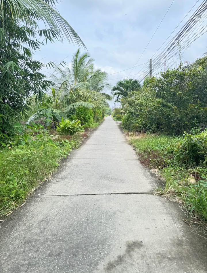 Nhà phố Lý Văn Lâm 296.8m² giá 1 tỷ - Sân vườn thoáng mát, cách cầu Bà Cai 900m!