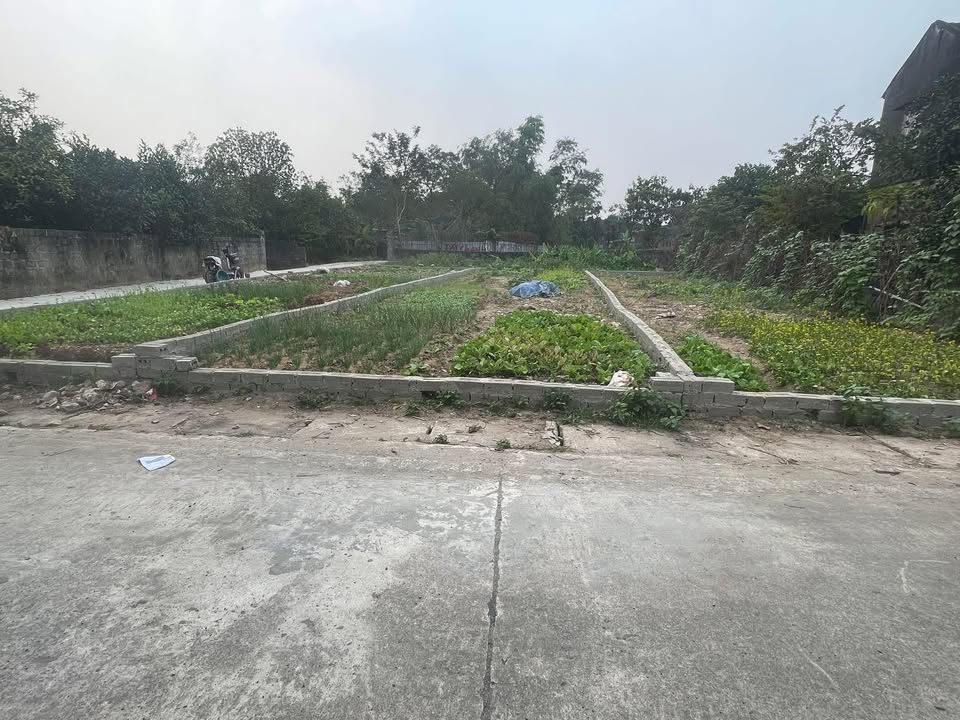 Đất nền Tri Thủy - Phú Xuyên 80m² chỉ 1.45 tỷ - Đầu tư sinh lời cao!