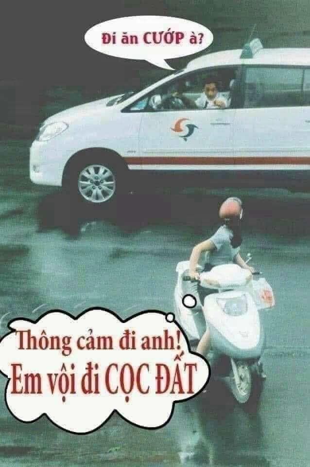 Đất nền 2000m² ấp 5, xã Mỹ Quý Đông, Đức Huệ - Cắt lỗ chỉ 185 triệu!