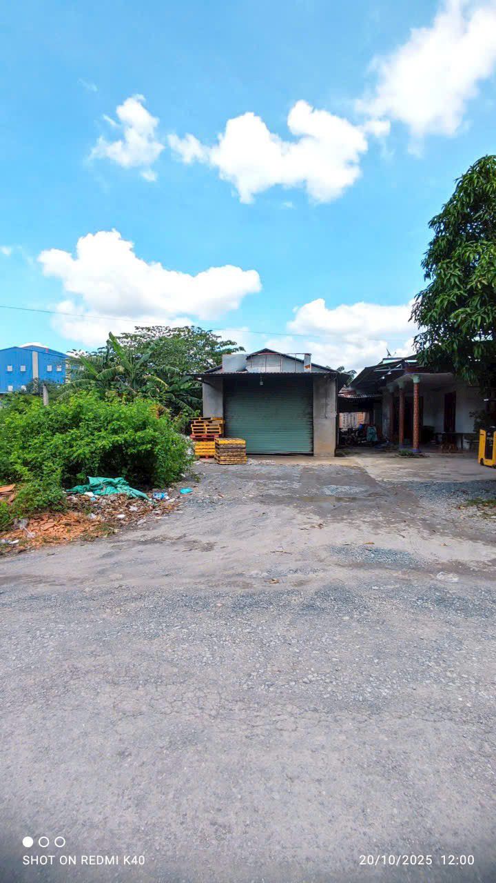 Đất nền 180m² xã Đức Hòa Tây - Đường trải nhựa sắp hoàn thiện, chỉ 4.5 tỷ!