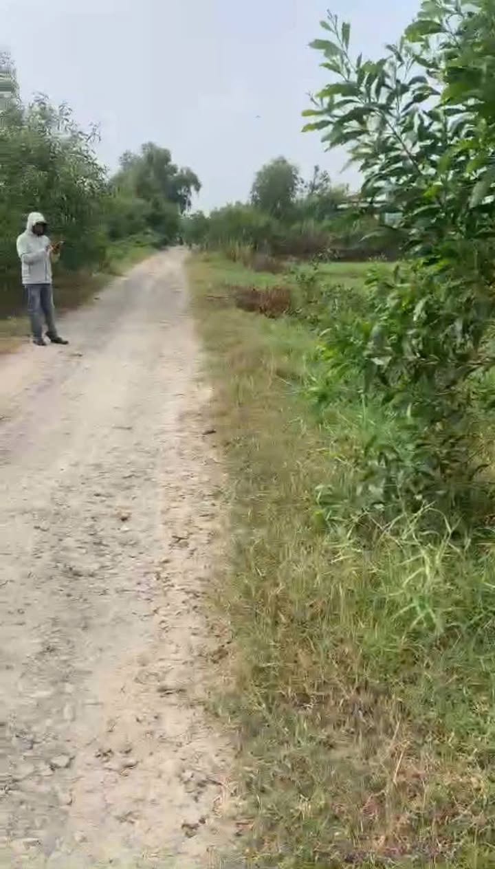 Đất thổ cư tại xã Mỹ Hạnh, Đức Hòa, 850m² giá 1.7 tỷ - Đầu tư lý tưởng!