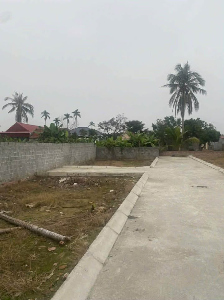 Đất nền Tân Viên, Kiến An 71m² giá chỉ 500 triệu - Ô tô vào tận đất!