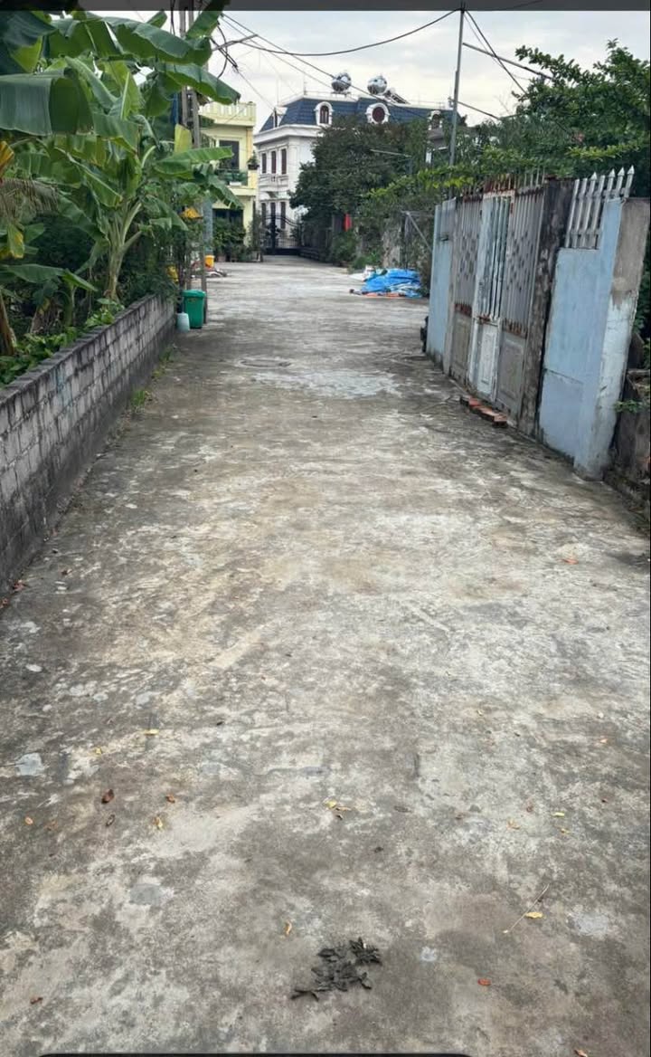 Bán đất Phù Liễn 42m² giá 1.2 tỷ - Tiềm năng đầu tư sinh lời cao!