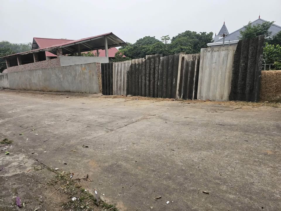 Đất nền Thanh Vân, Tam Dương 130m² giá 1.15 tỷ - Đường ô tô tránh nhau!