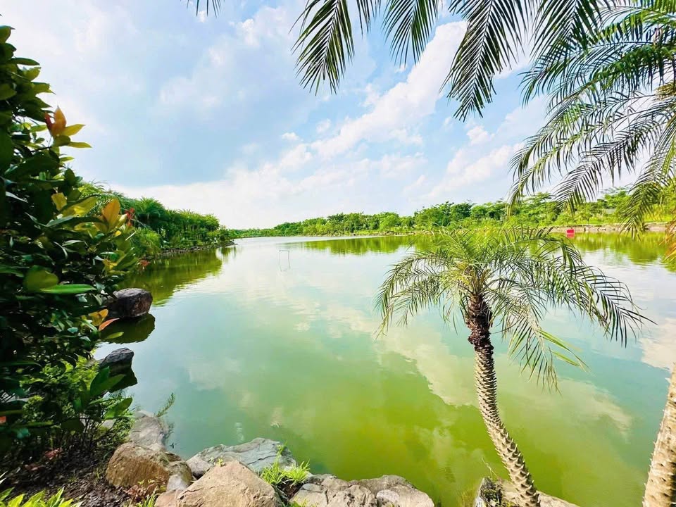 Lô đất LK6 Chếch Hồ Vườn Hồng, Từ Sơn 170m² giá chỉ 5x triệu - Đầu tư sinh lời ngay!