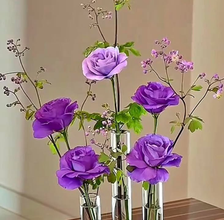 Đất thổ cư 384m² tại Thôn 9, Pơng Drang chỉ 1.7 tỷ - Sổ hồng chính chủ!