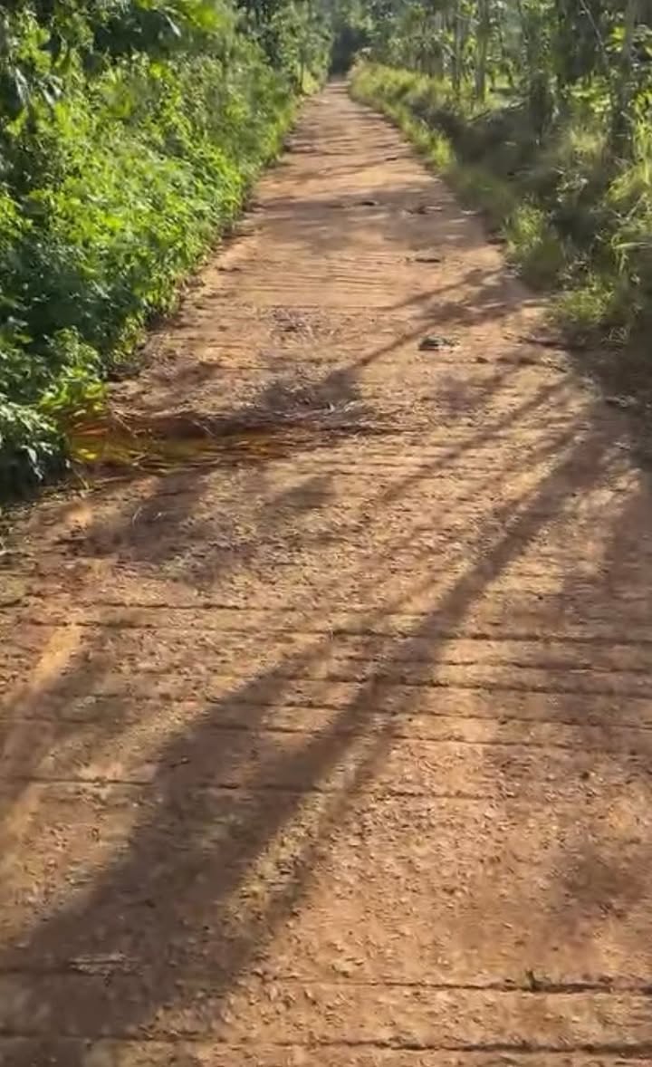 Đất nông nghiệp Pơng Drang 530m² giá 350 triệu - Sổ đỏ chính chủ, đầu tư sinh lời!