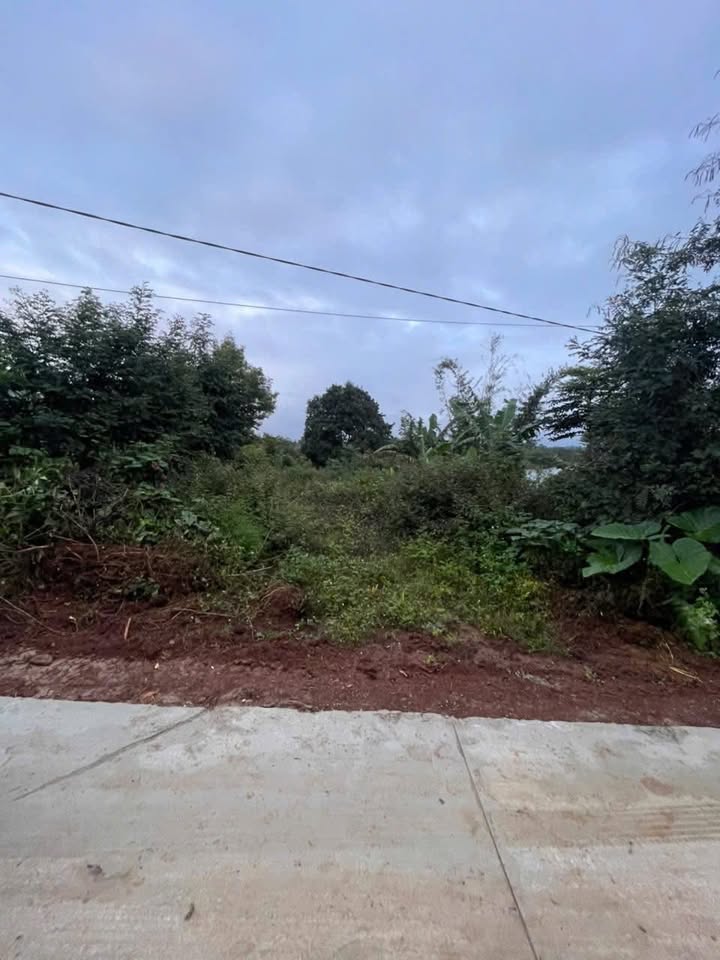 Nhà mặt tiền Bùi Hữu Nghĩa, An Lạc 150m² giá 1.35 tỷ - Mở cửa kinh doanh ngay!