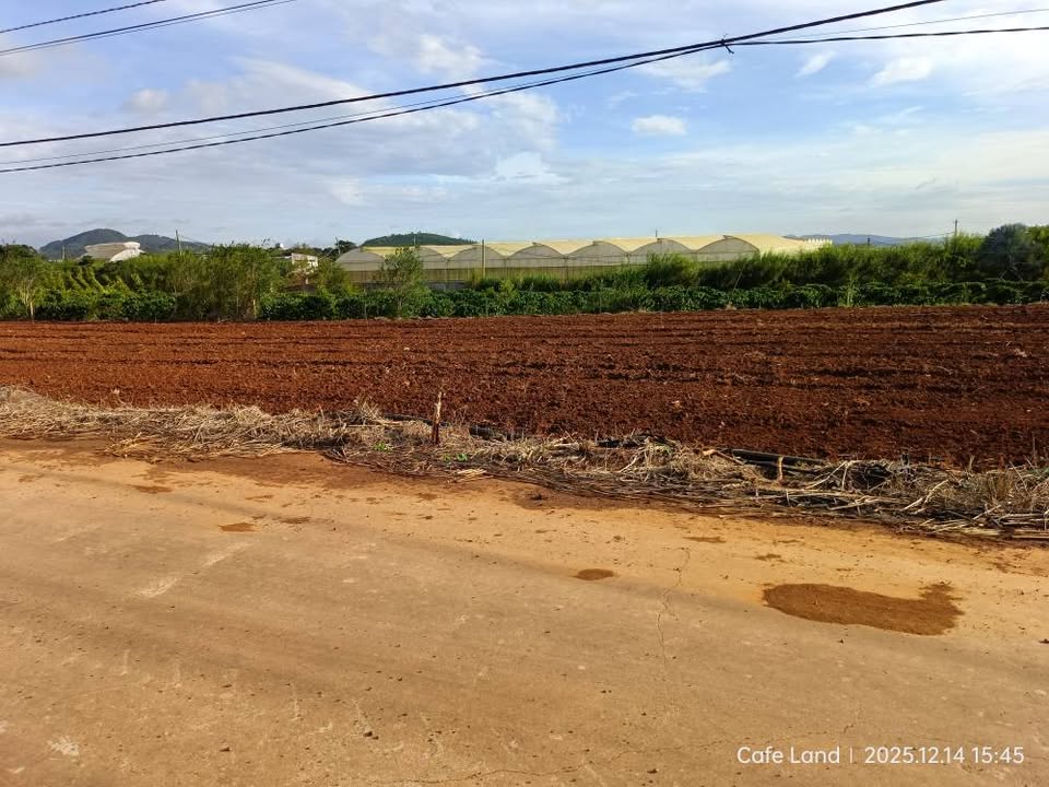 Đất nền Tân Hội, Đức Trọng 170m² giá 580 triệu - Sổ hồng riêng, đầu tư sinh lời!