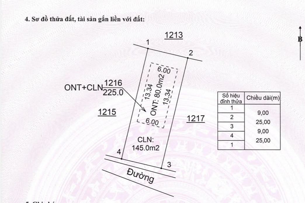 Đất nền Lục Sơn, Lục Nam, Bắc Giang 225m² giá 400 triệu - Cơ hội đầu tư hiếm có!