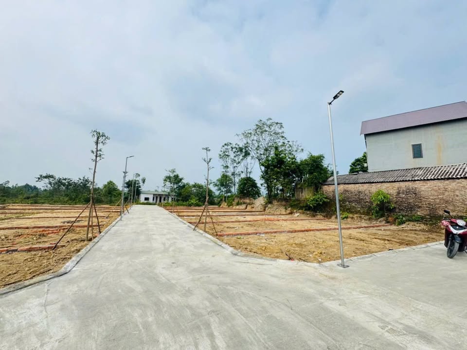 Đất nền Gia Khánh Bình Xuyên 80m² giá 500 triệu - Đường ô tô vào tận nơi!