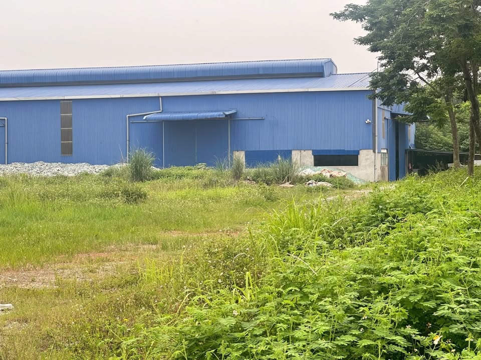 Đất cơ sở sản xuất tại Định Trung, Vĩnh Yên 11.153m² giá 3 tỷ - Đầu tư sinh lời ngay!