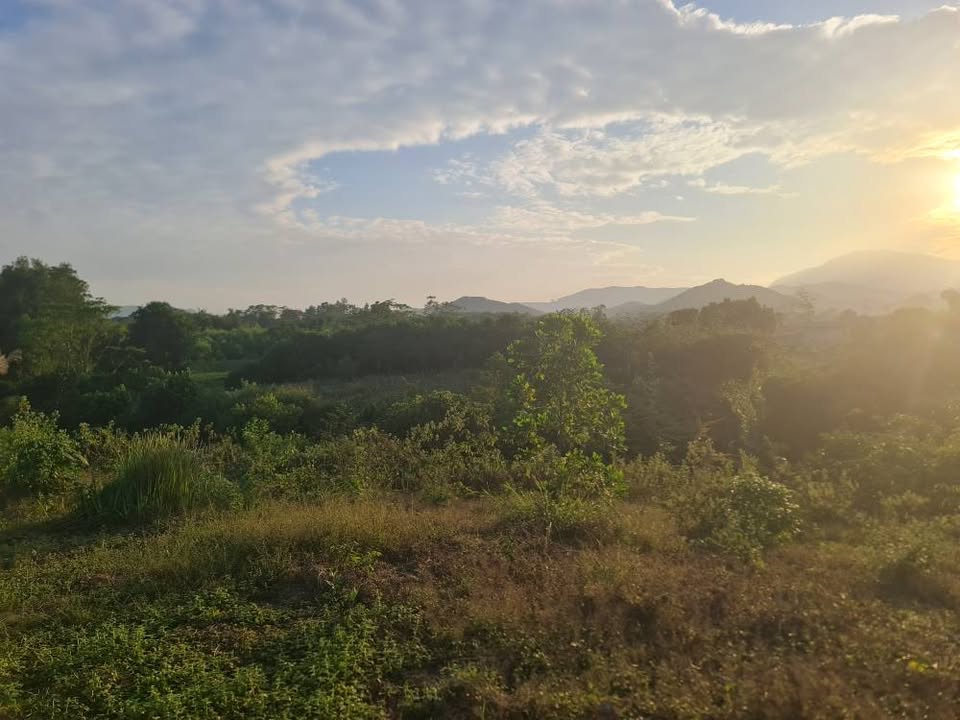 Đất thổ cư 1000m² tại Bình Sơn, Sông Công giá 3 tỷ - Cơ hội đầu tư tuyệt vời!