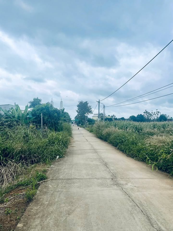 Đất nền Cư Jút 600m² giá chỉ 900 triệu - Đầu tư sinh lời ngay!