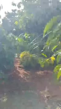 Đất nền 1,75ha tại xã Ia Me, Chư Prông, Gia Lai - Giá 3,4 tỷ, thương lượng ngay!