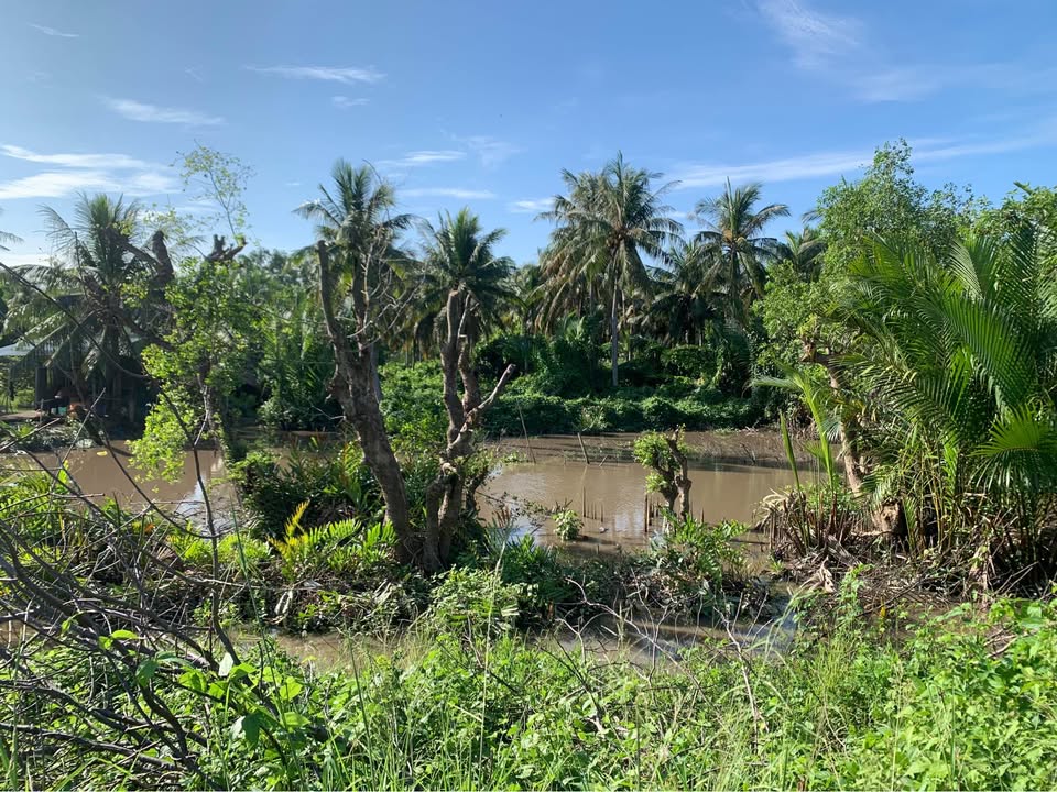 Đất mặt tiền đường Đê Quốc Phòng Hòn Đất 38.000m² giá 3.04 tỷ - Cơ hội đầu tư hấp dẫn!