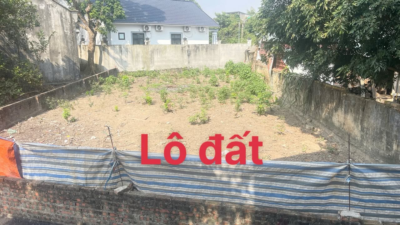 Đất nền chính chủ phường Định Trung Vĩnh Yên 271m² giá 3 tỷ - Sổ hồng pháp lý rõ ràng!