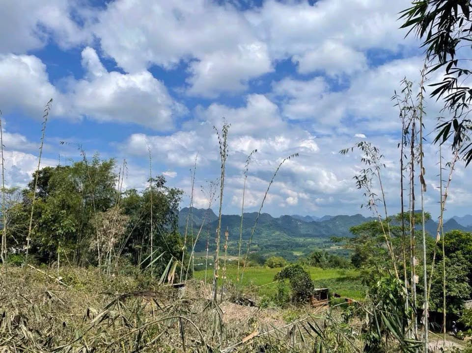 Đất nền Phú Cường 1006m² giá 590 triệu - Gần Đèo Đá Trắng, ô tô vào tận nơi!